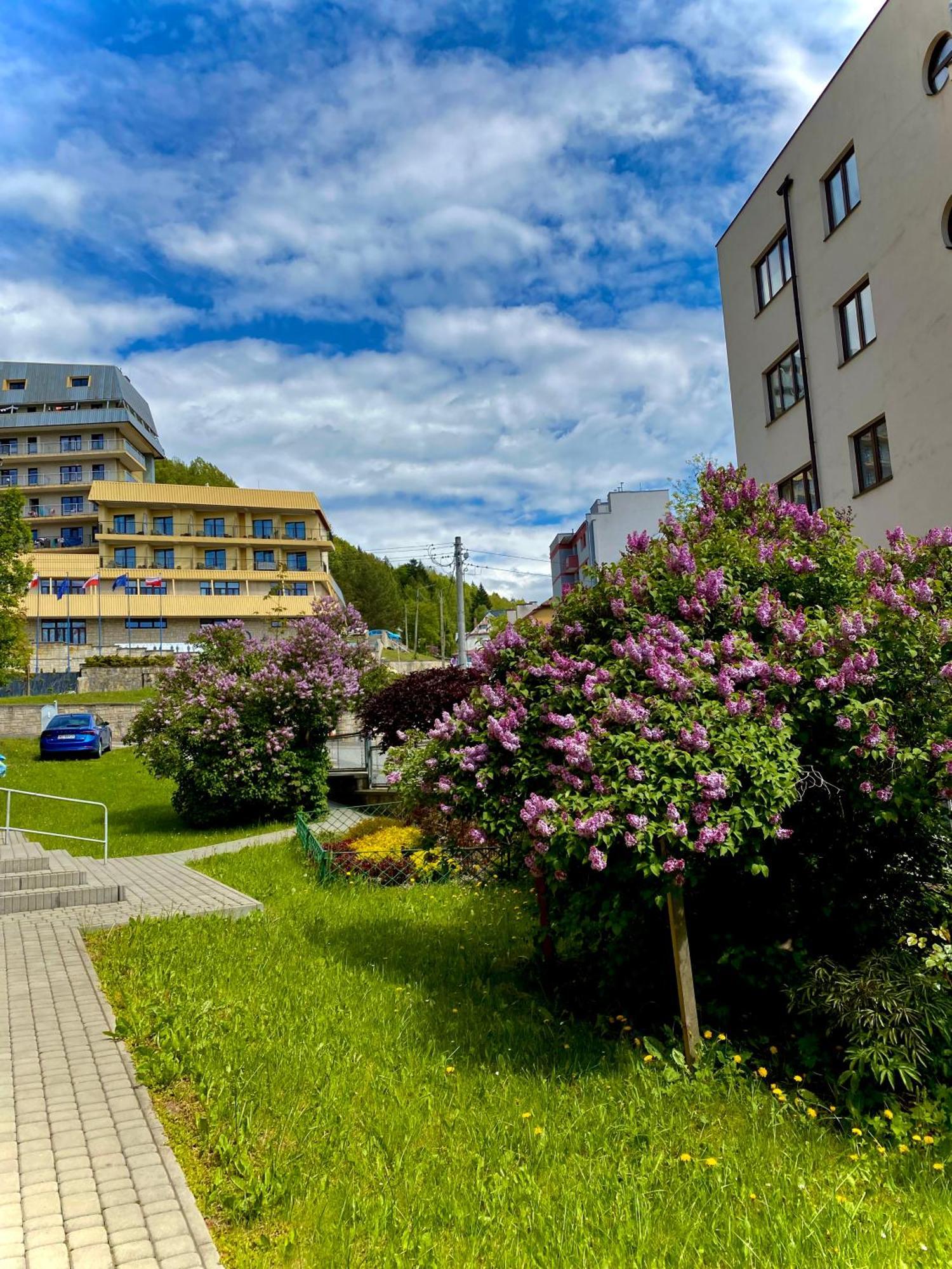 Cristal Apartament Krynica - Zdroj Ngoại thất bức ảnh